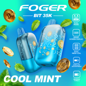 Cool Mint Foger Bit 35K Puffs