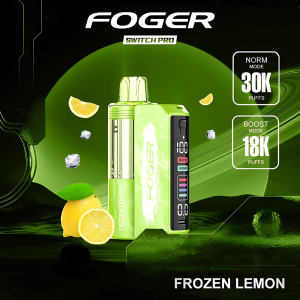 Frozen Lemon Foger Switch Pro Kit 30K Puffs