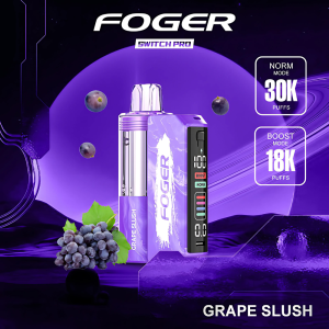 Grape Slush Foger Switch Pro Kit 30K Puffs