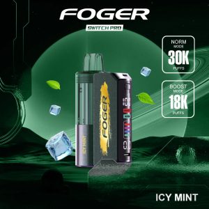 Icy Mint Foger Switch Pro Kit 30K Puffs