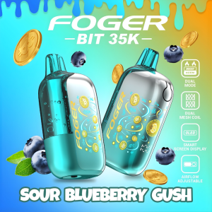 Sour Blueberry Gush Foger Bit 35K Puffs