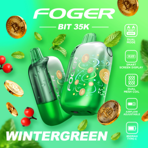 WinterGreen Foger Bit 35K Puffs